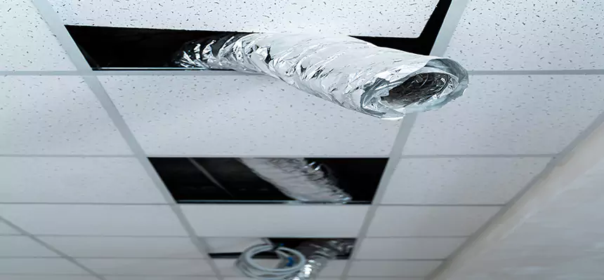 Affordable HVAC Sanitizing After Pest Removal in Nashville