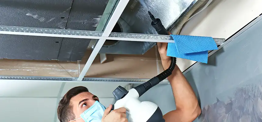 Our Air Duct Rodent Removal Services in Nashville, TN