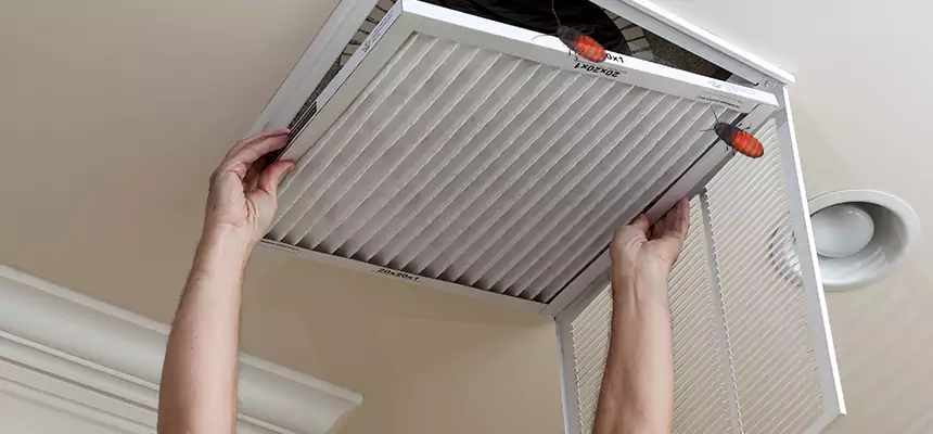 Our Insect Removal from Air Ducts Services in Nashville, TN