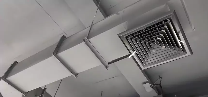 Our Pest Removal From Ducts Services in Nashville, TN