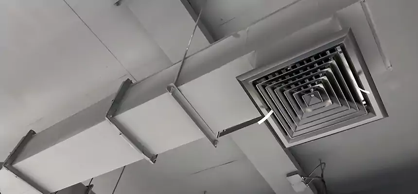 Our Rodent Droppings In Vents Services in Nashville, TN