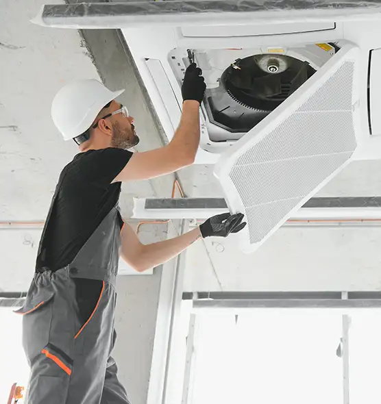 About Air Duct Rodent Removal in Nashville, TN