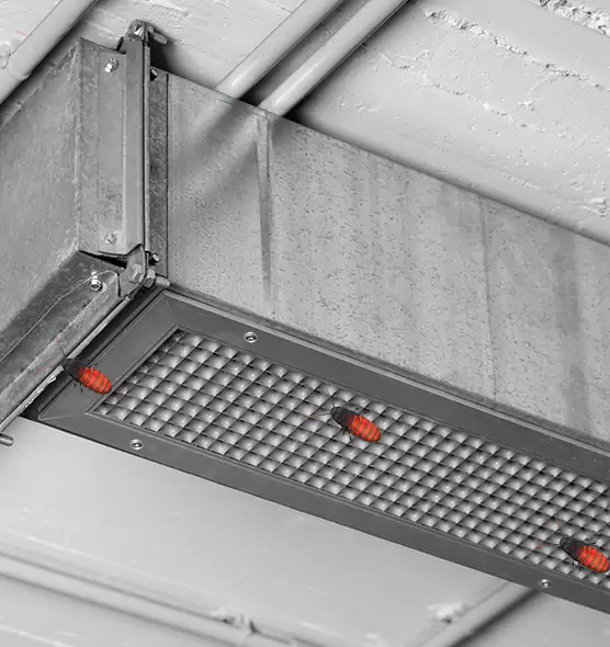 Affordable Insect Removal from Air Ducts in Nashville, TN