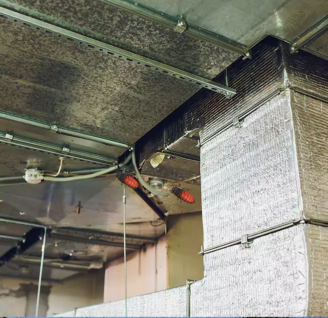 Why Homeowners & Businesses Trust Us Nashville, TN?